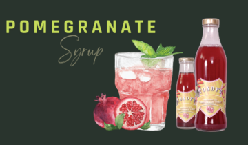 POMEGRANATE GIN FIZZ